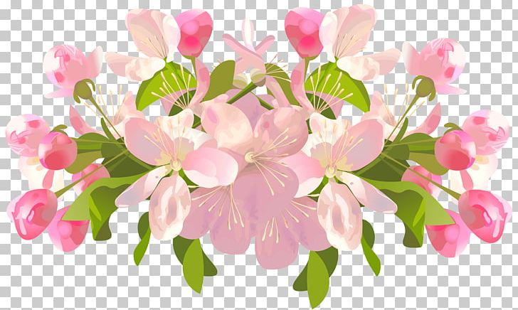 Flower Spring PNG, Clipart, Blossom, Branch, Cherry Blossom, Clipart, Clip Art Free PNG Download