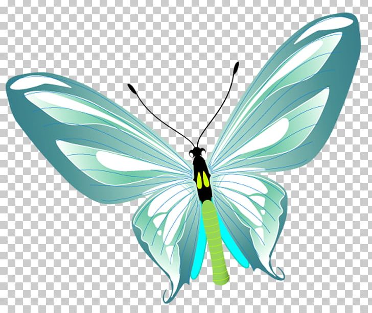Brush-footed Butterflies Butterfly PNG, Clipart, Animal, Brush Footed Butterfly, Color, Encapsulated Postscript, Insects Free PNG Download