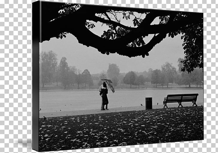 Hyde Park Kind Photography Aldo PNG, Clipart, Aldo, Art, Black, Black And White, Canvas Free PNG Download
