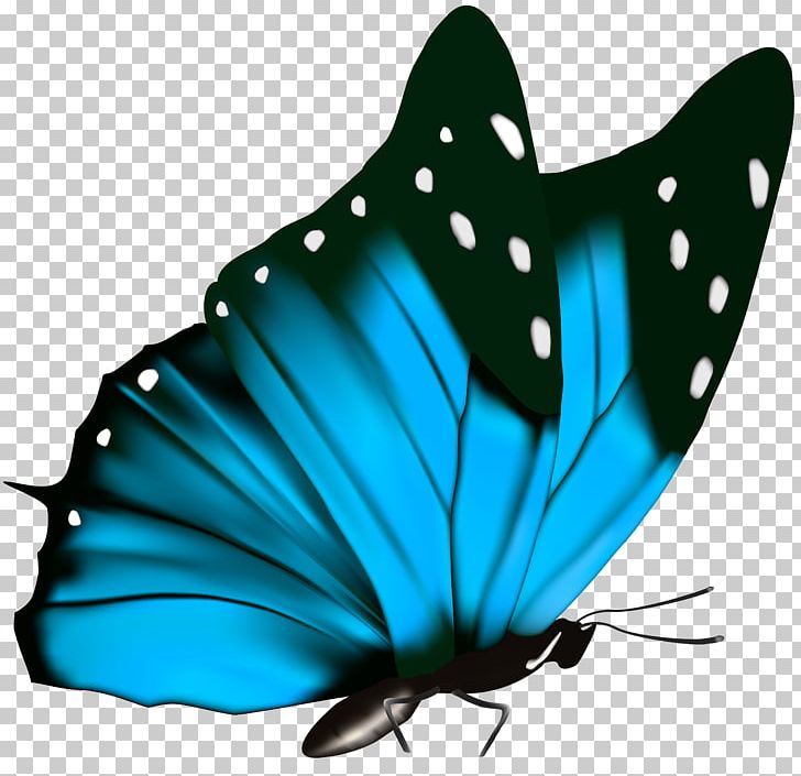 Butterfly Green PNG, Clipart, Arthropod, Brush Footed Butterfly, Butterflies, Butterflies And Moths, Color Free PNG Download