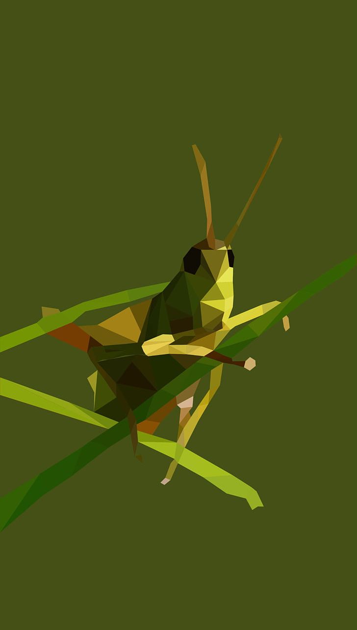 Grasshopper Insect Tettigonia Viridissima Locust Mantis PNG, Clipart, Arthropod, Cricket, Cricket Like Insect, Fauna, Gomphocerinae Free PNG Download
