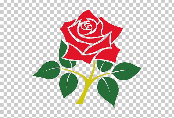 Lancashire County Cricket Club England Cricket Team Hampshire County Cricket Club Lord's PNG, Clipart, Artwork, Ccc, County Cricket, Cricket, Cut Flowers Free PNG Download