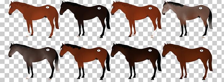 Mustang Mare Stallion Dog Pony PNG, Clipart, Animal Figure, Breed, Bridle, Colt, Dog Free PNG Download