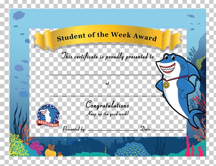 Academic Certificate Student Great White Shark Killer Whale PNG, Clipart, Academic Certificate, Area, Blue, Cartoon, Cetacea Free PNG Download