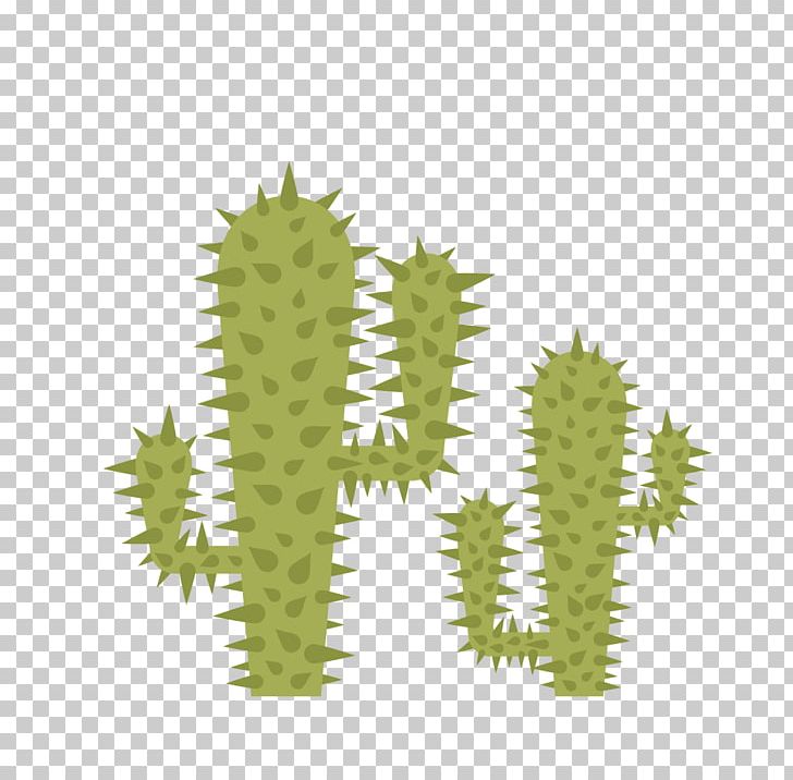 Cactaceae Thorns PNG, Clipart, Cactaceae, Cactus, Cactus Cartoon, Cactus Flower, Cactus Vector Free PNG Download