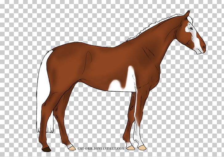 Foal Mane Mare Stallion Colt PNG, Clipart, Bay, Bridle, Chestnut, Colt, Foal Free PNG Download