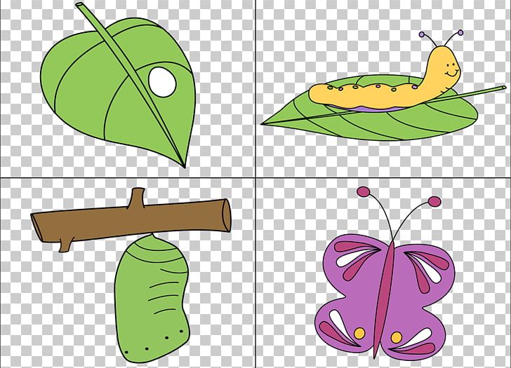 Butterfly Biological Life Cycle Caterpillar PNG, Clipart, Angle, Artwork, Biological Life Cycle, Butterfly, Caterpillar Free PNG Download