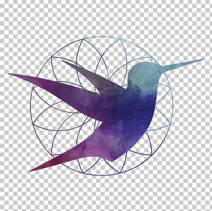 Hummingbird Wing Logo PNG, Clipart, Animals, Art, Beak, Bird, Drawing Free PNG Download