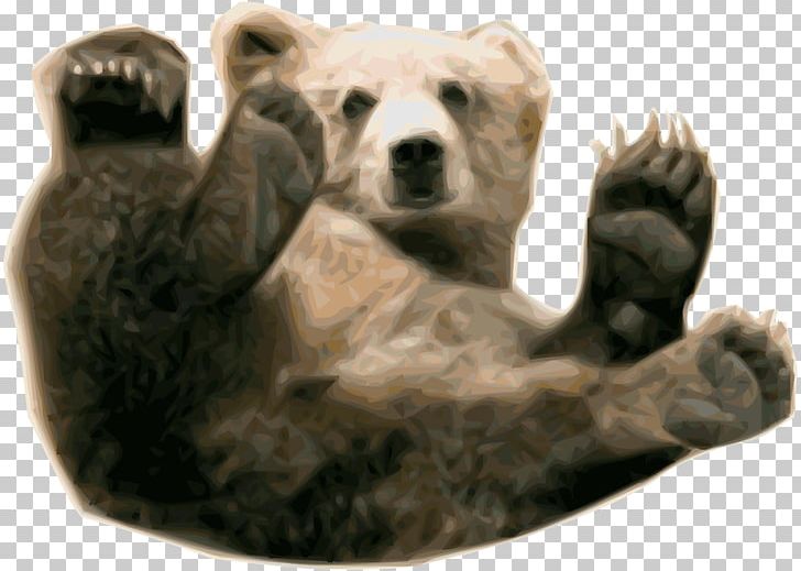 Polar Bear Brown Bear Grizzly Bear PNG, Clipart, Animals, Bear, Brown Bear, Carnivoran, Display Resolution Free PNG Download