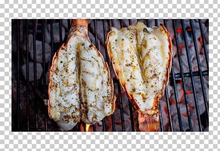 How To Grill: The Complete Illustrated Book Of Barbecue Technique Recipe Grilling Seafood PNG, Clipart, Animal Source Foods, Barbecue, Cooking, Cuisine, Fish Free PNG Download