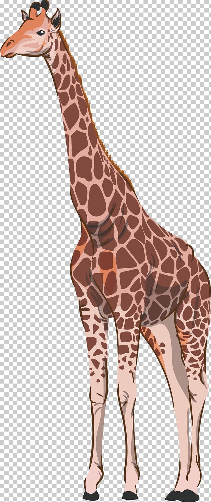 Northern Giraffe Common Ostrich Animal PNG, Clipart, Animals, Antenna, Brown Background, Ears, Encapsulated Postscript Free PNG Download