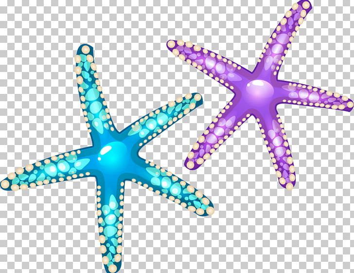 Starfish Euclidean Seashell PNG, Clipart, Animals, Artworks, Balloon Cartoon, Boy Cartoon, Callopatiria Granifera Free PNG Download