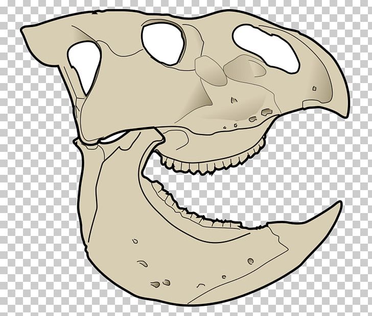 Udanoceratops Ultrasaurus Montanoceratops Camarasaurus Leptoceratops PNG, Clipart, Bone, Camarasaurus, Carnivoran, Ceratopsia, Dinosaur Free PNG Download