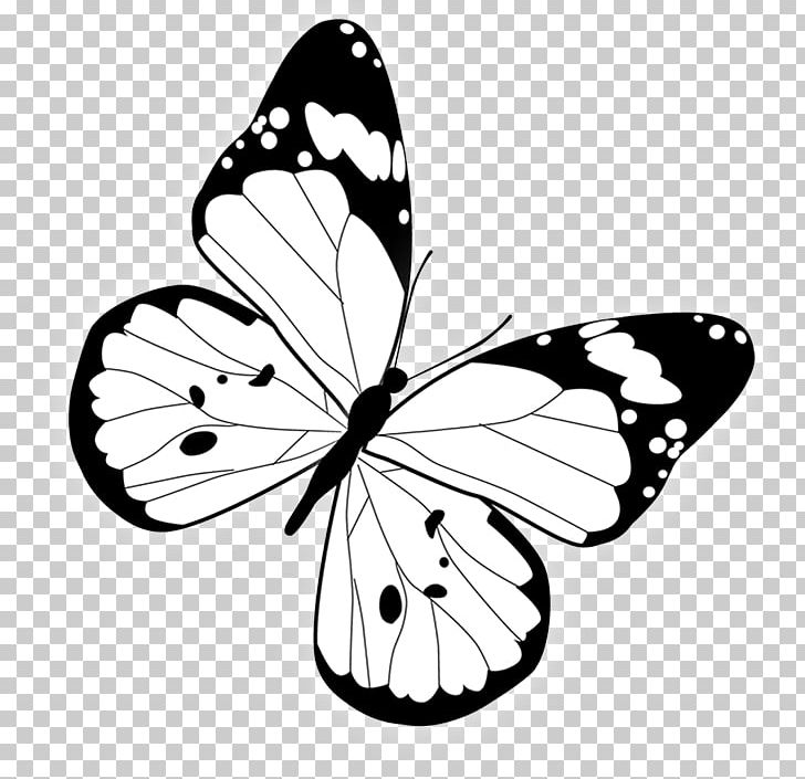 Butterfly PNG, Clipart, Brush Footed Butterfly, Butterflies, Butterfly Group, Flower, Ink Free PNG Download