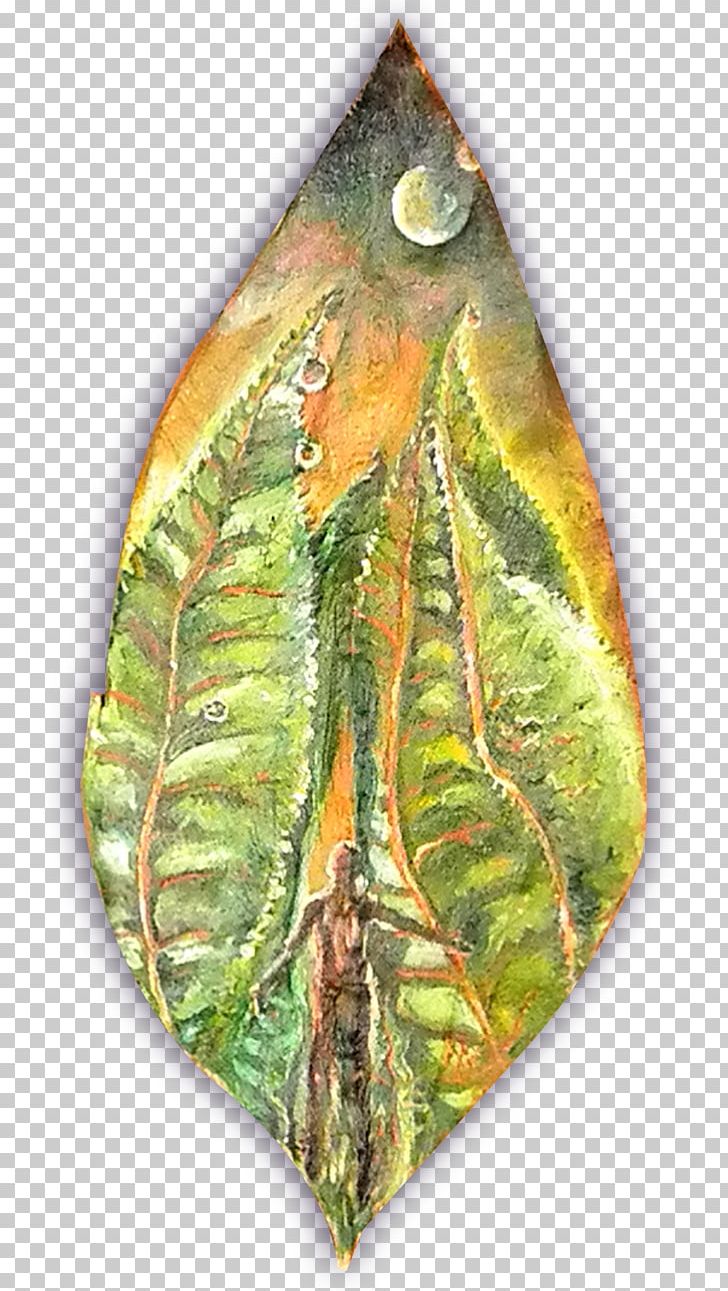 Leaf PNG, Clipart, Hemphill Fine Arts, Leaf, Organism, Plant Free PNG Download