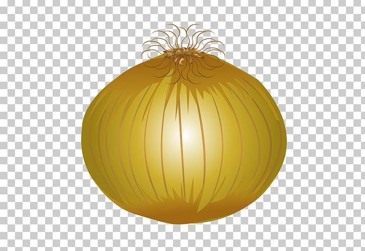 Pumpkin Winter Squash Yellow Fruit Lighting PNG, Clipart, Cucurbita, Food, Food Icon, Food Logo, Food Menu Free PNG Download