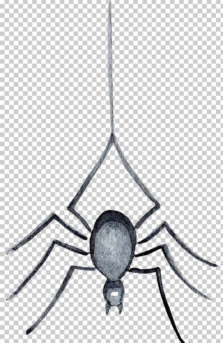 Spider-Man Light Spider Web PNG, Clipart, Computer Network, Design Element, Holidays, Light, Membrane Winged Insect Free PNG Download