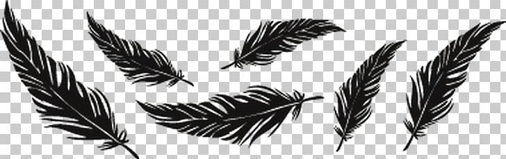 Tattoo Feather Drawing Bird PNG, Clipart, Amber, Animals, Arrow, Art, Beak Free PNG Download