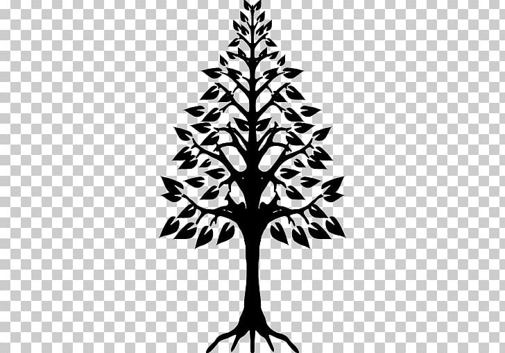 Tree Himachalheaven Computer Icons Root PNG, Clipart, Black And White, Branch, Christmas Decoration, Christmas Tree, Computer Icons Free PNG Download