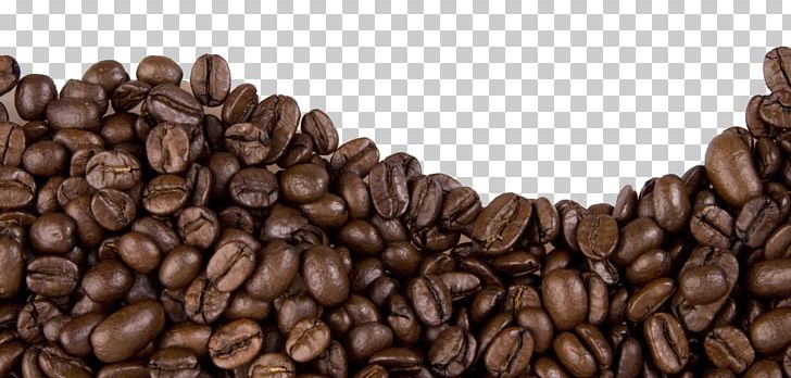 Jamaican Blue Mountain Coffee Cafe Coffee Bean Png Clipart Bean Beans Cafe Caffeine Chocolate Free Png