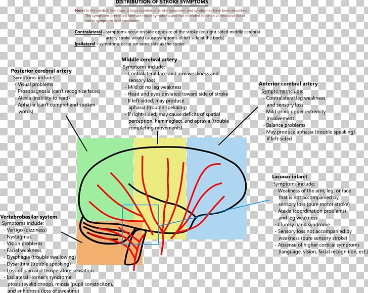Lacunar Stroke Symptom Posterior Cerebral Artery Middle Cerebral Artery PNG, Clipart, Aphasia, Area, Artery, Diagram, Disease Free PNG Download