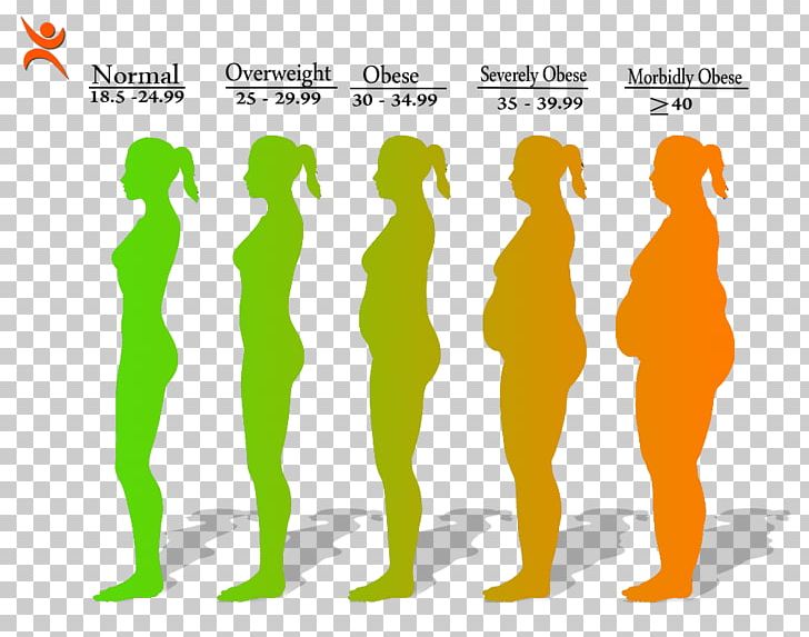 Obesity Body Mass Index Health Disease Weight PNG, Clipart, Adolphe Quetelet, Antiobesity Medication, Area, Bod, Childhood Obesity Free PNG Download