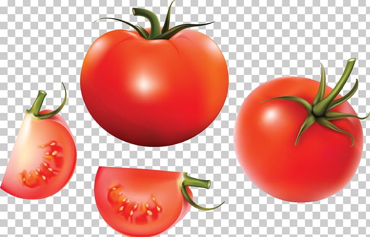 Tomato PNG, Clipart, Cdr, Diet Food, Encapsulated Postscript, Food, Fruit Free PNG Download