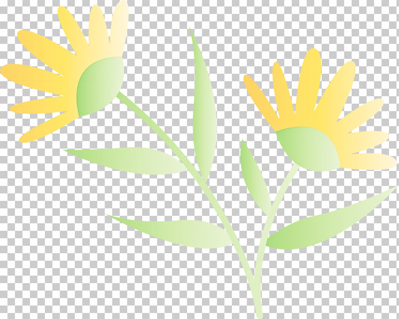 Sunflower PNG, Clipart, Biology, Commodity, Computer, M, Oxeye Daisy Free PNG Download