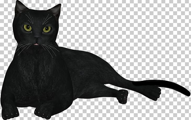 Black Cat Bombay Cat Domestic Short-haired Cat Whiskers PNG, Clipart, Author, Black, Black And White, Black Cat, Black M Free PNG Download
