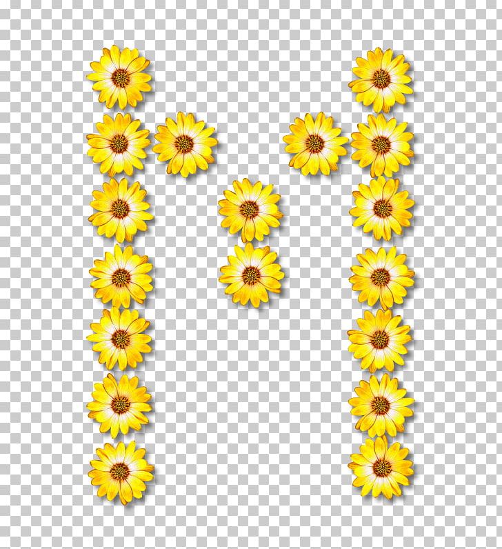 Common Sunflower Floral Design PNG, Clipart, Alphabet, Common Sunflower, Cut Flowers, Daisy Family, Floral Free PNG Download