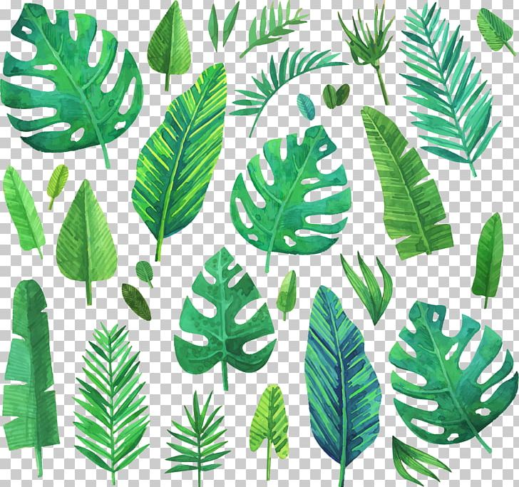 Watercolor Painting Leaf PNG, Clipart, Coniferous Plants, Conifers, Creative Watercolor, Decorative Patterns, Encapsulated Postscript Free PNG Download