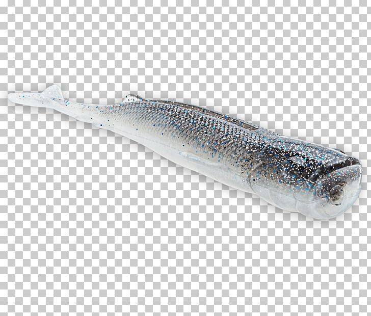 Sardine Fishing League Worldwide Oily Fish Soused Herring PNG, Clipart, Anchovies As Food, Anchovy, Angling, Atlantic Herring, Capelin Free PNG Download