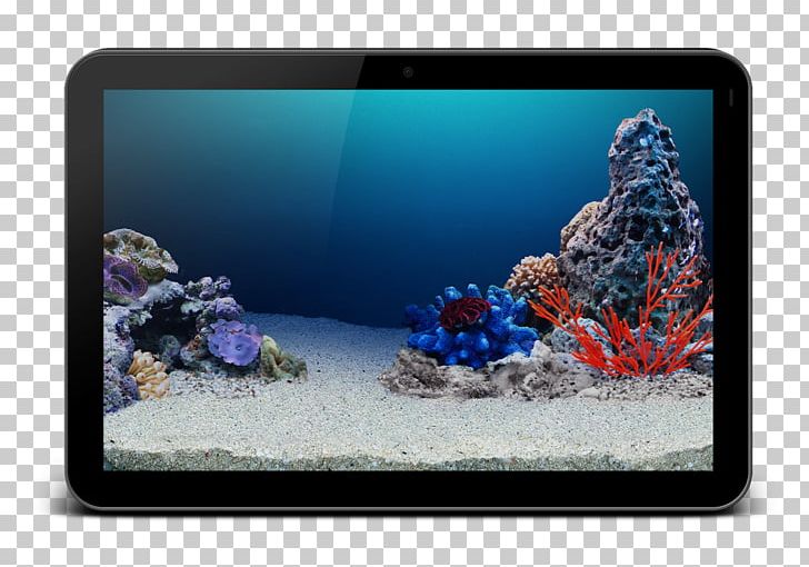 Coral Reef Aquariums Cobalt Blue PNG, Clipart, Aquarium, Aquariums, Aquatica, Blue, Cobalt Free PNG Download