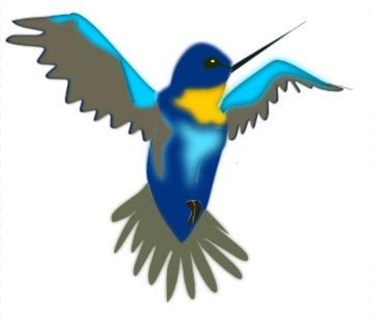 Hummingbird Cartoon PNG, Clipart, Animation, Beak, Bird, Bluebird, Cartoon Free PNG Download