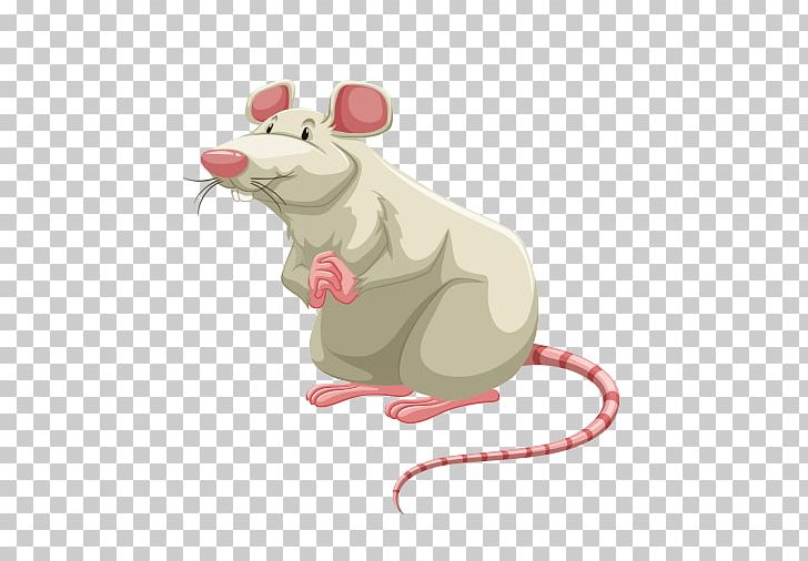 Mouse Rat PNG, Clipart, Animals, Carnivoran, Computer Icons, Fold, Laboratory Mouse Free PNG Download