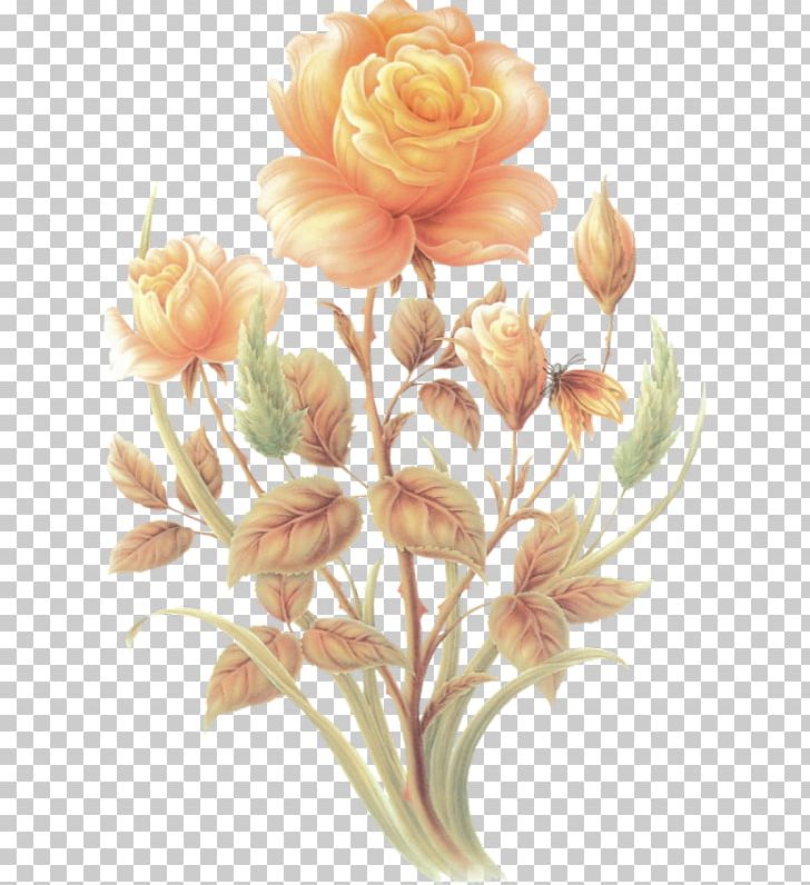 Cut Flowers Centifolia Roses Floral Design PNG, Clipart, Centifolia Roses, Cut Flowers, Floral Design, Floristry, Flower Free PNG Download