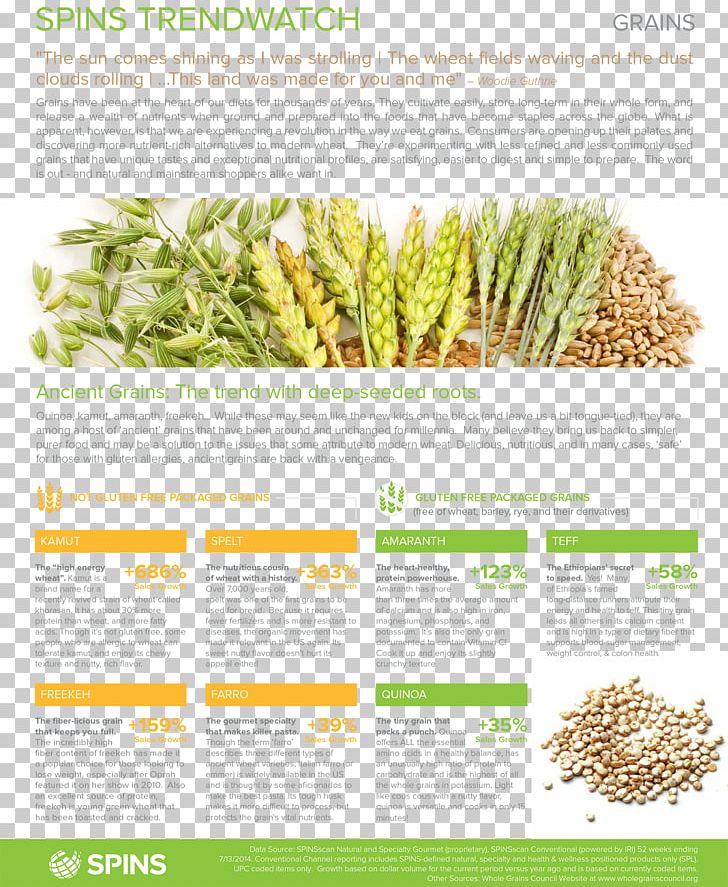 Fertilisers Grasses Crop Yield Agritecno Fertilizantes Plant PNG, Clipart, Agritecno Fertilizantes, Ancient Grain Shading, Boomslang, Business, Cereal Free PNG Download