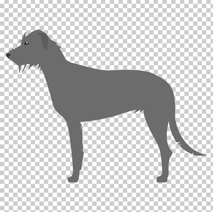 Italian Greyhound Sloughi Spanish Greyhound Whippet PNG, Clipart, Amstaff, Black And White, Breed, Carnivoran, Dog Free PNG Download