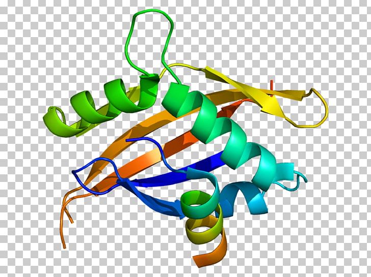 Nuclear Receptor Coactivator 1 Thyroid Hormone Receptor PNG, Clipart, Coactivator, Histone Code, Line, Miscellaneous, Nuclear Receptor Free PNG Download