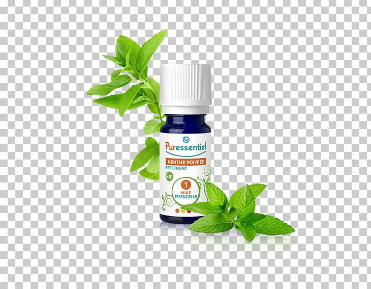 Peppermint Essential Oil Huile Essentielle De Menthe Aromatherapy PNG, Clipart, Aromatherapy, Essential Oil, Food, Health, Herb Free PNG Download