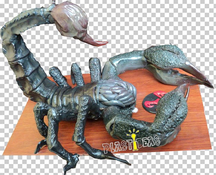 Scorpion PNG, Clipart, Insects, Scorpion, Velociraptor Free PNG Download