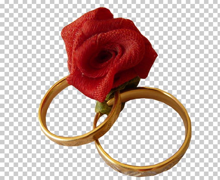 Wedding Ring Garden Roses PNG, Clipart, Body Jewelry, Couple, Cut Flowers, Download, Encapsulated Postscript Free PNG Download
