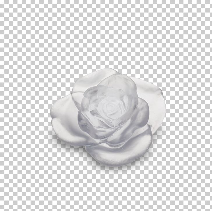 White Rose Flower Green Red PNG, Clipart, Black, Black And White, Blue, Daum, Flower Free PNG Download