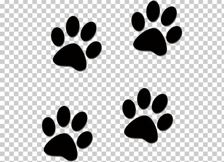 Akita Dachshund Kennel Filhote Pet PNG, Clipart, Akita, Amanda, Animal Shelter, Black, Black And White Free PNG Download