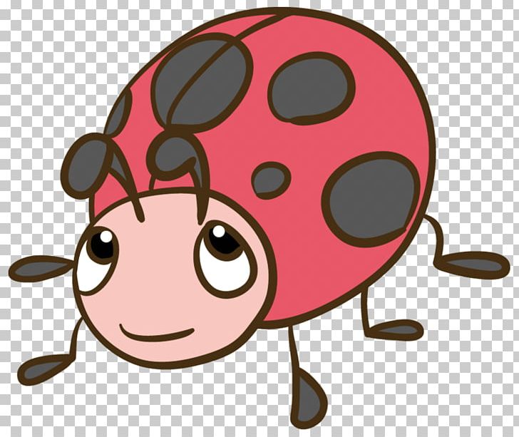 Coccinella Septempunctata Aphid Insect PNG, Clipart, Aphid, Blog, Cartoon, Child, Coccinella Free PNG Download