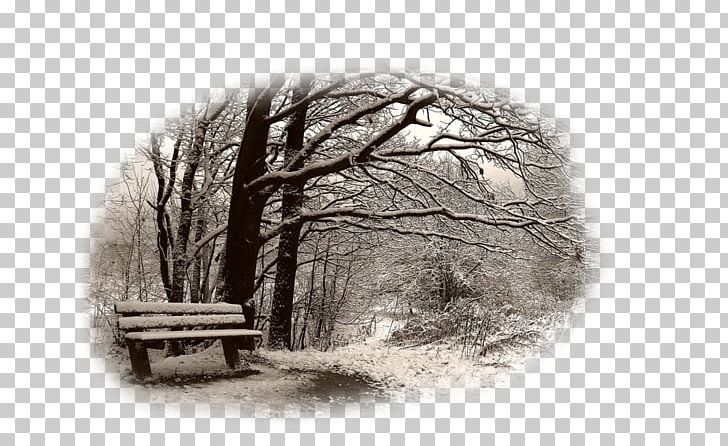 Desktop Landscape Winter Nature Drawing PNG, Clipart, Akarsu, Black And White, Branch, Deniz, Desktop Wallpaper Free PNG Download