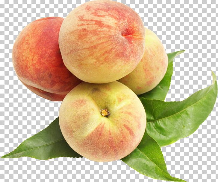 Peach Auglis Food PNG, Clipart, Appl, Auglis, Diet Food, Download, Element Free PNG Download