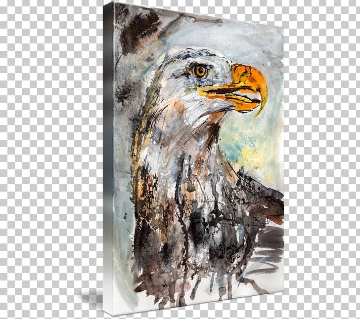 Bald Eagle Watercolor Painting Hawk PNG, Clipart, Accipitriformes, Art, Bald Eagle, Beak, Bird Free PNG Download