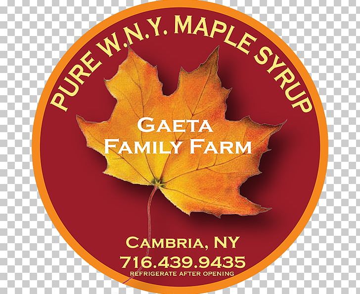 Maple Leaf Thanksgiving Font PNG, Clipart, Leaf, Maple, Maple Leaf, Thanksgiving, Tree Free PNG Download