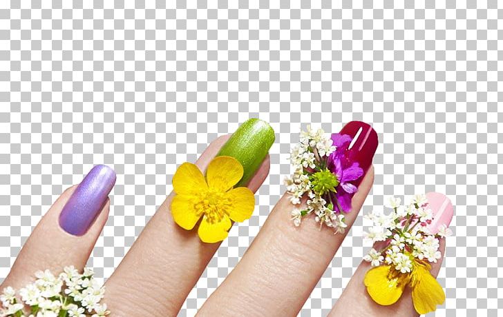 Nail Art Manicure Cosmetology PNG, Clipart, Beauty, Color, Cosmetics, Cosmetology, Download Free PNG Download